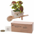 Wooden Wheel Barrow Blossom Kit